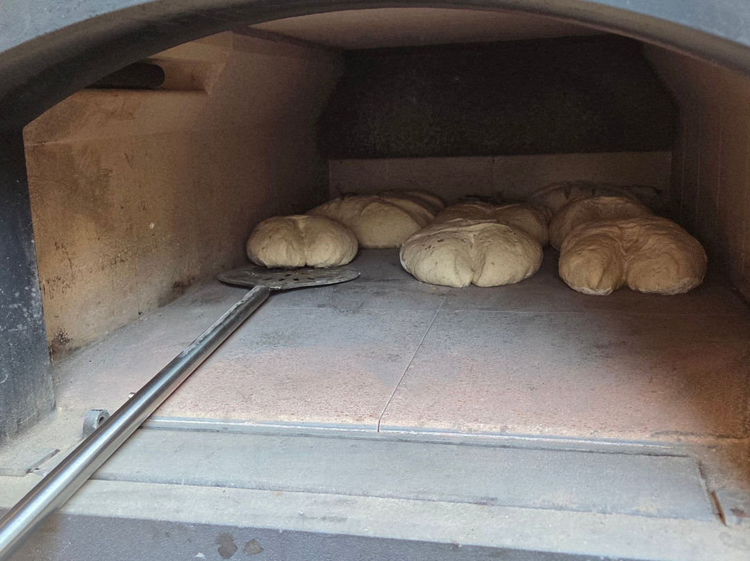 Panorama Hotel Albus主图