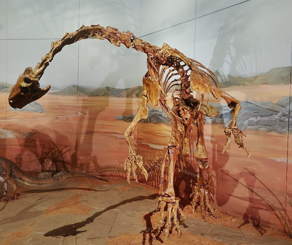 Museum of Cardiff-卡迪夫必去景点