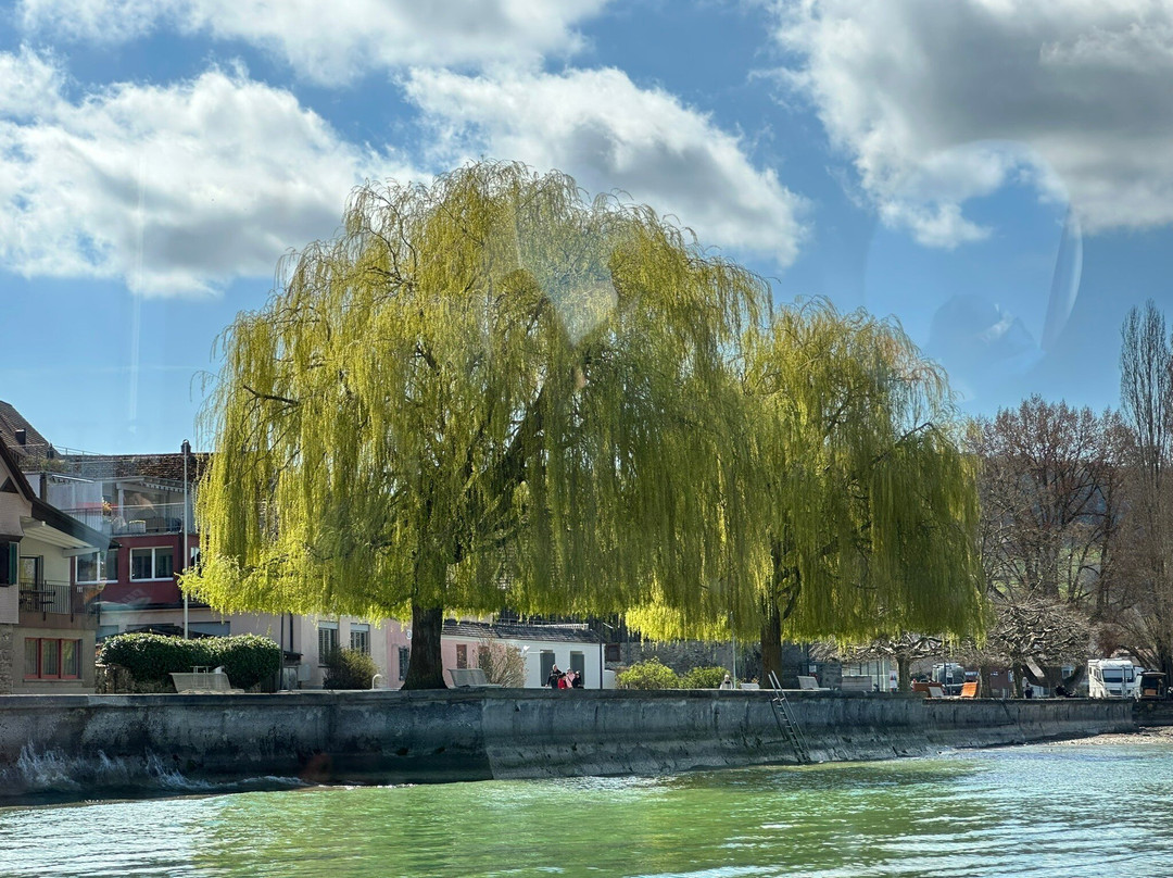 Schifffahrtsgesellschaft Untersee und Rhein-沙夫豪森必去景点