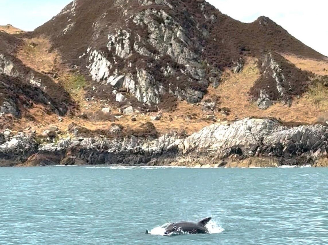 Seafari Adventures-Ellenabeich必去景点
