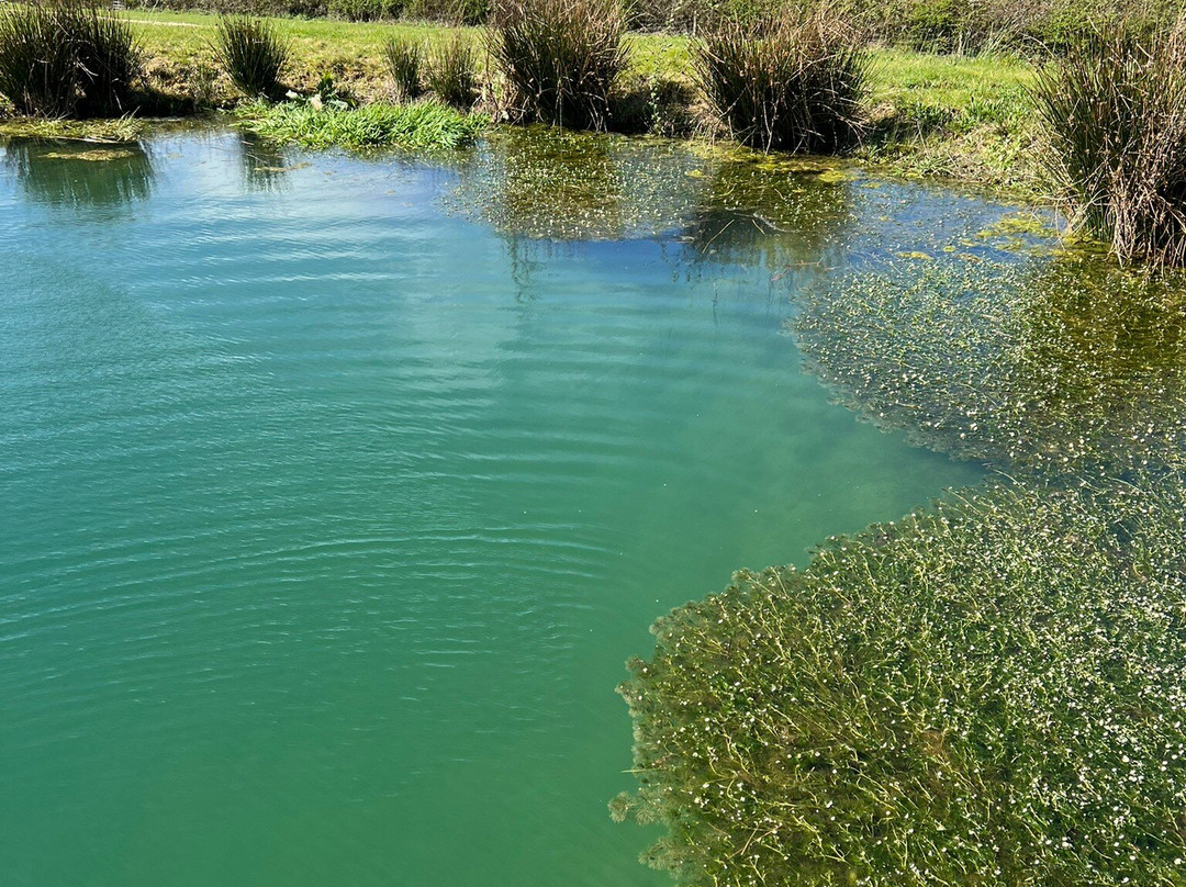 Hill Farm Glamping主图