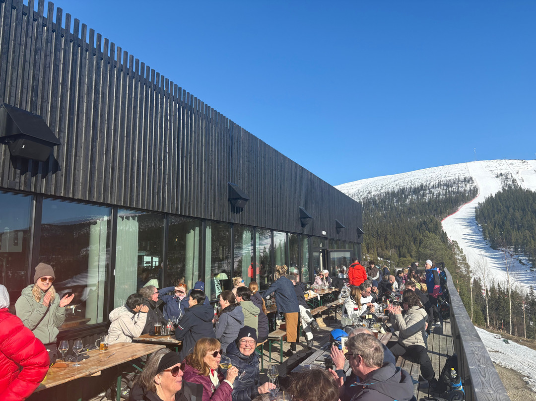 Ski Club by Bräjks
