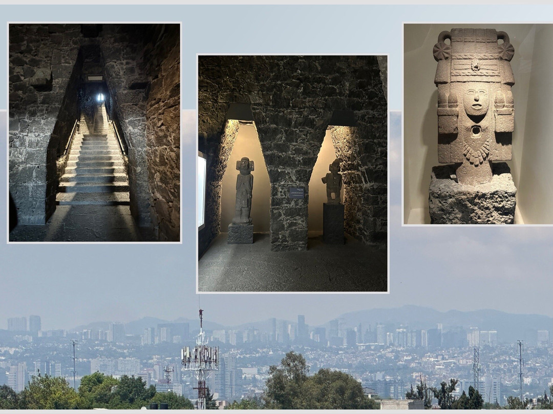 Museo Diego Rivera Anahuacalli-墨西哥城必去景点