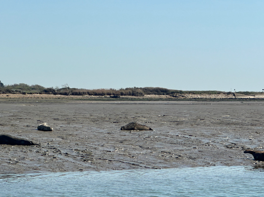 Chichester Harbour Water Tours-West Itchenor必去景点