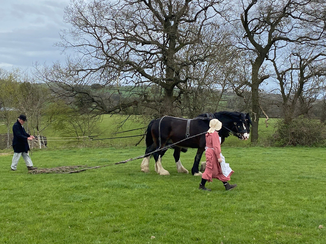 Acton Scott Heritage Farm-Acton Scott必去景点