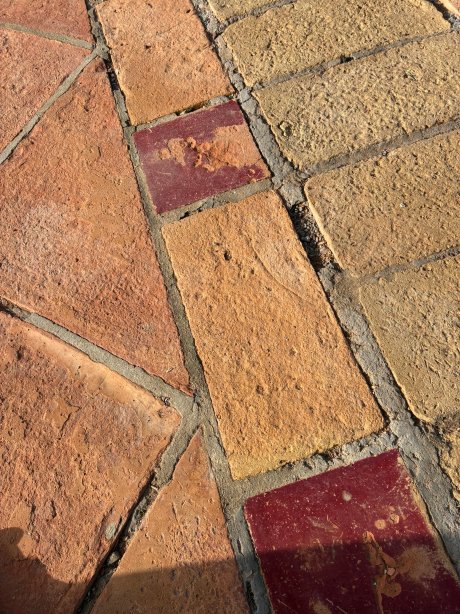 H10哥斯达黎加阿德赫宫酒店-官方