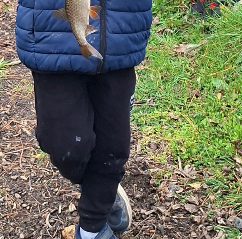 Eisteddfa Fishery-Criccieth必去景点