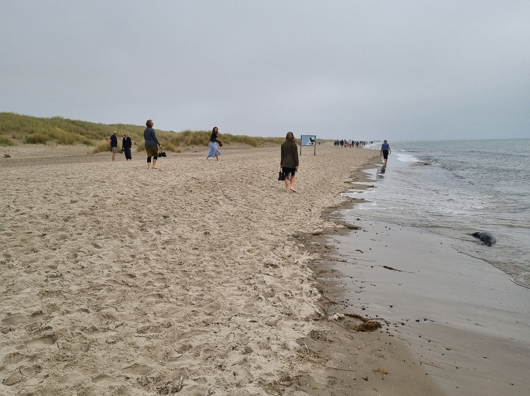 Grenen-斯卡恩必去景点