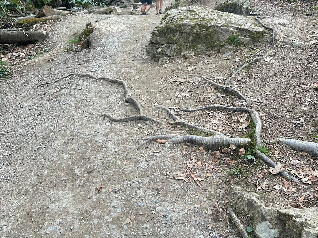 Soco Falls-Maggie Valley必去景点