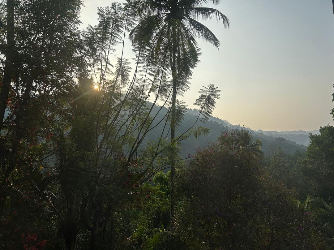 姆纳索皮尔民宿主图