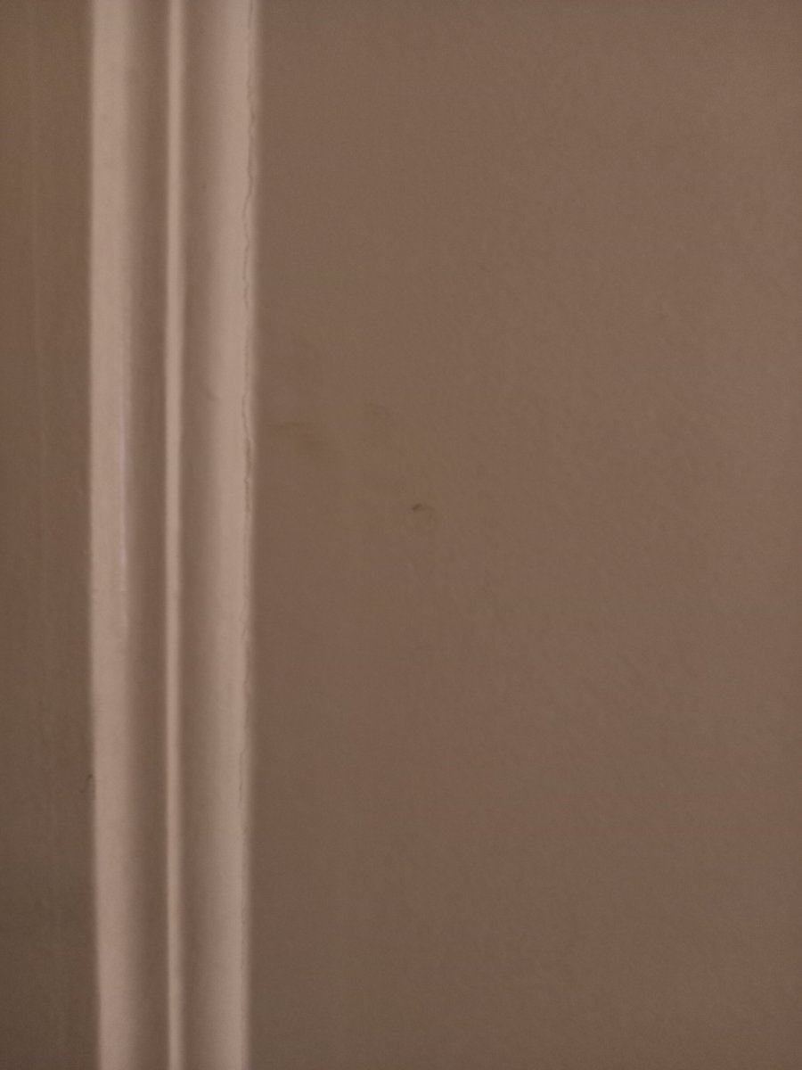 艾克森耶大酒店-旅行者