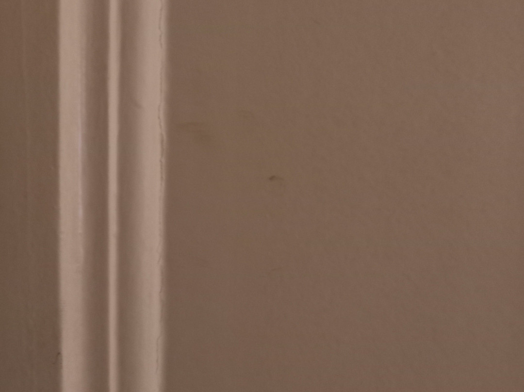 艾克森耶大酒店主图