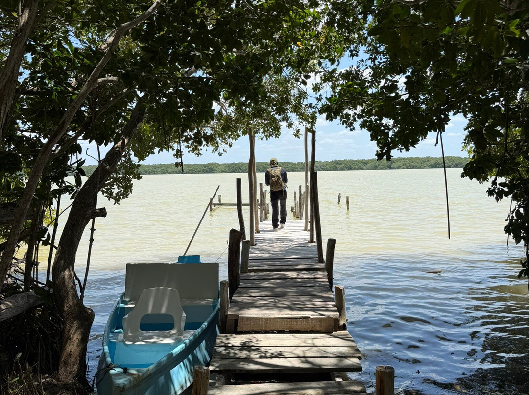 Guardianes De Los Manglares De Dzinintún-塞莱斯顿必去景点