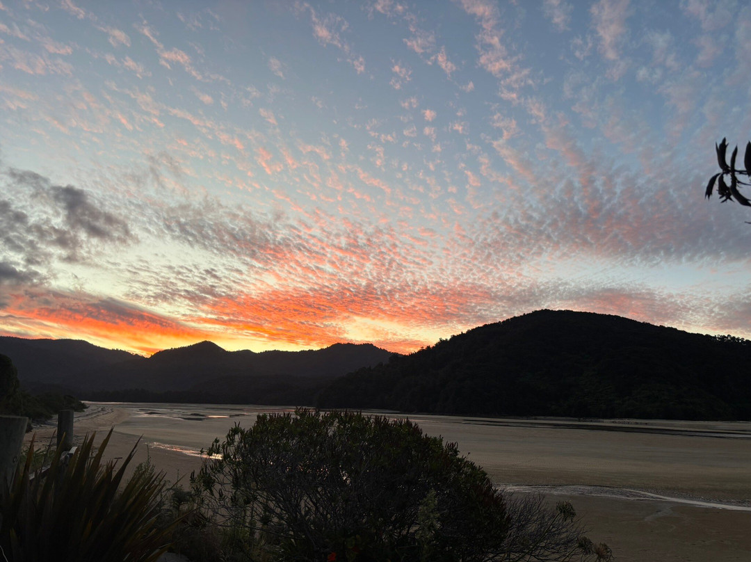 Wilsons Abel Tasman-Abel Tasman National Park必去景点