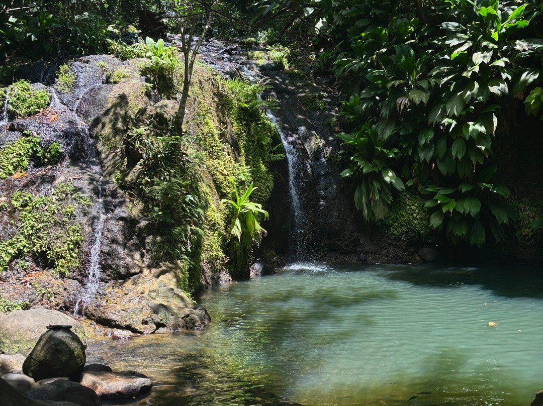 La Cascade de Bis-Sainte Rose必去景点