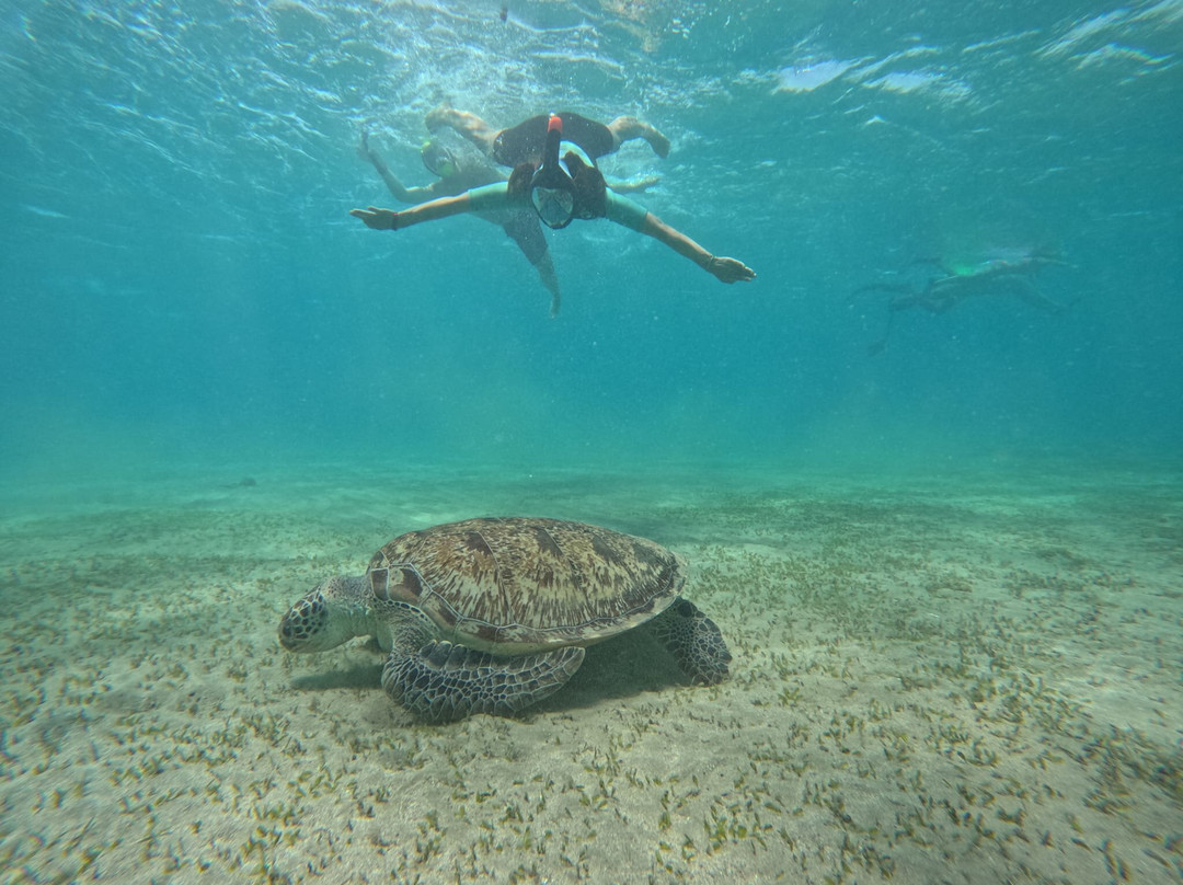 ÄGYPTEN - VIP unvergessliche exclusive Ausflüge mit FARA & HAMADA-Pfungen必去景点