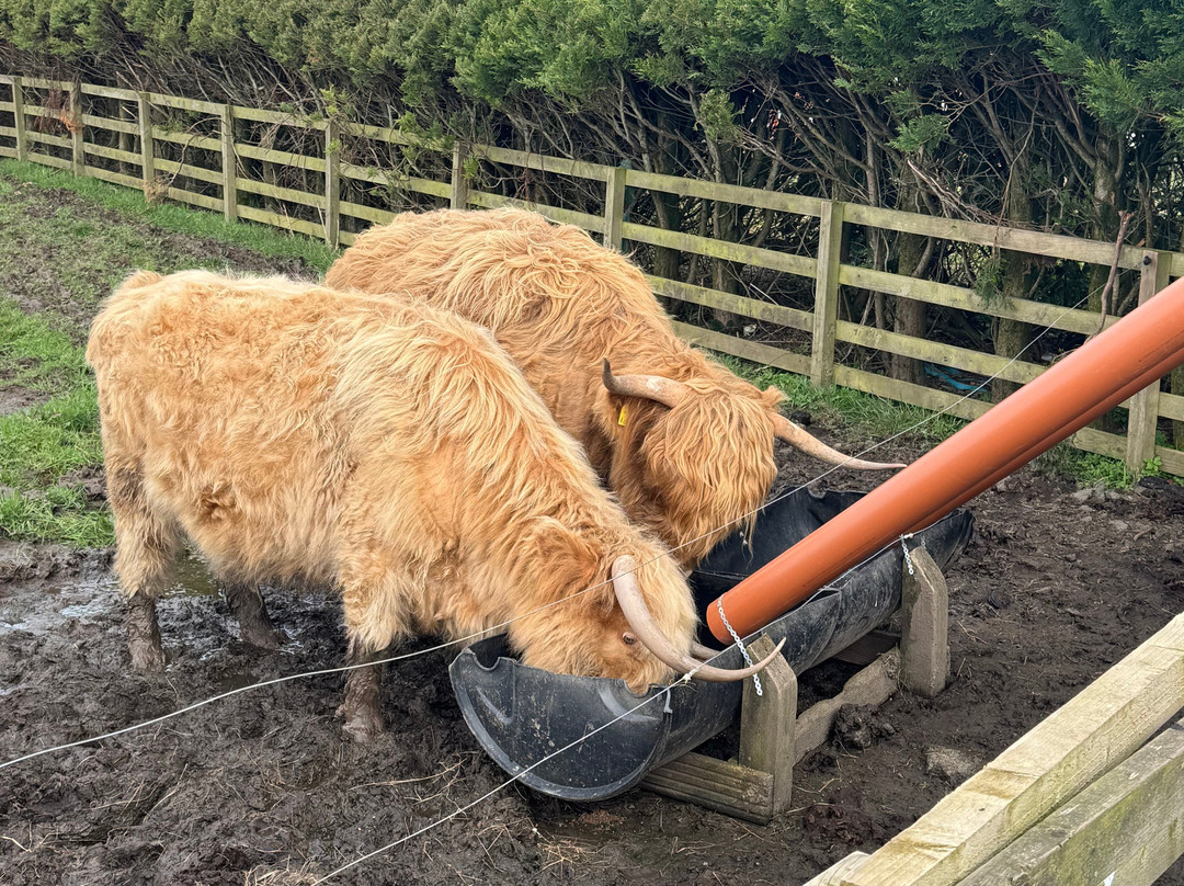 Craigbank Farm-Kilmarnock必去景点
