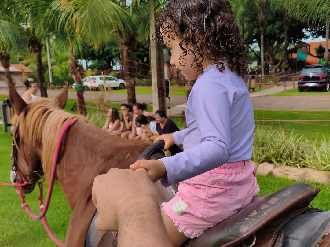 Carpe Diem Eco Resort 奥林匹亚主图