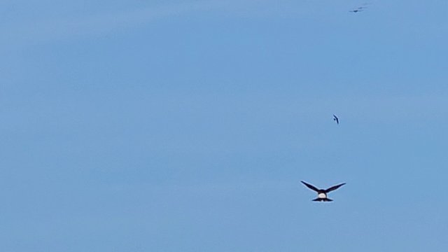海洋微风酒店-旅行者
