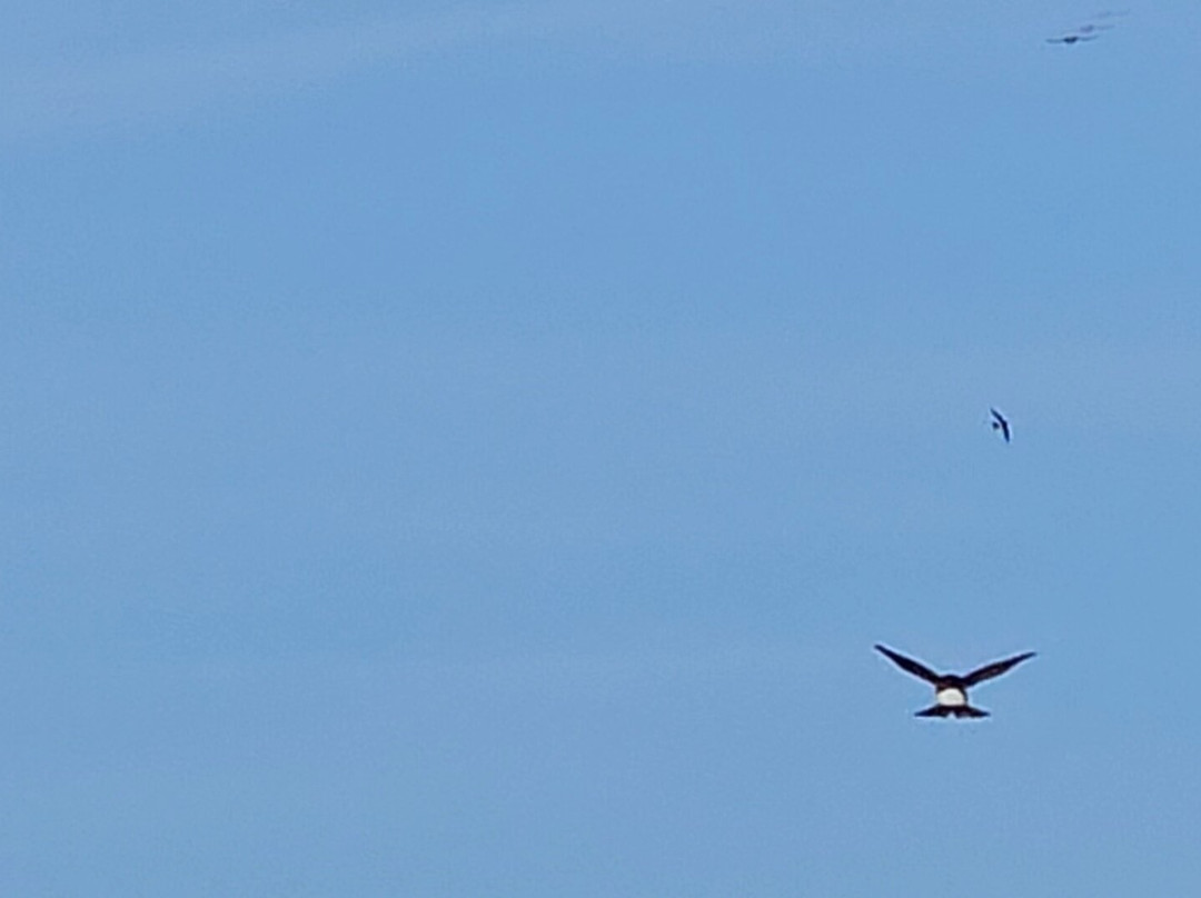 海洋微风酒店主图