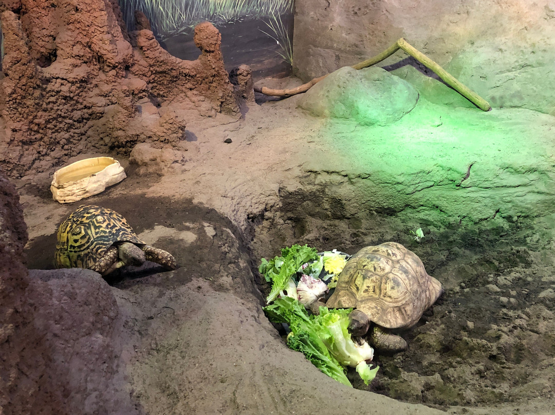 The Maritime Aquarium at Norwalk-诺沃克必去景点