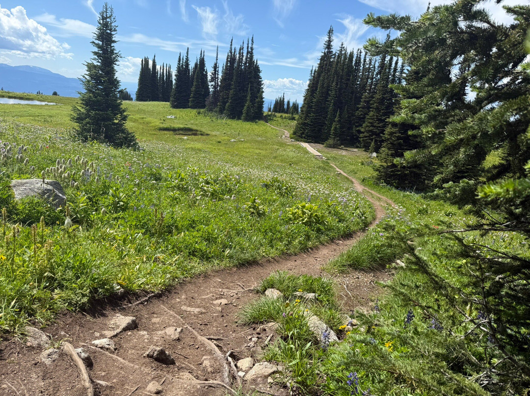 Wells Gray Provincial Park-克利尔沃特必去景点