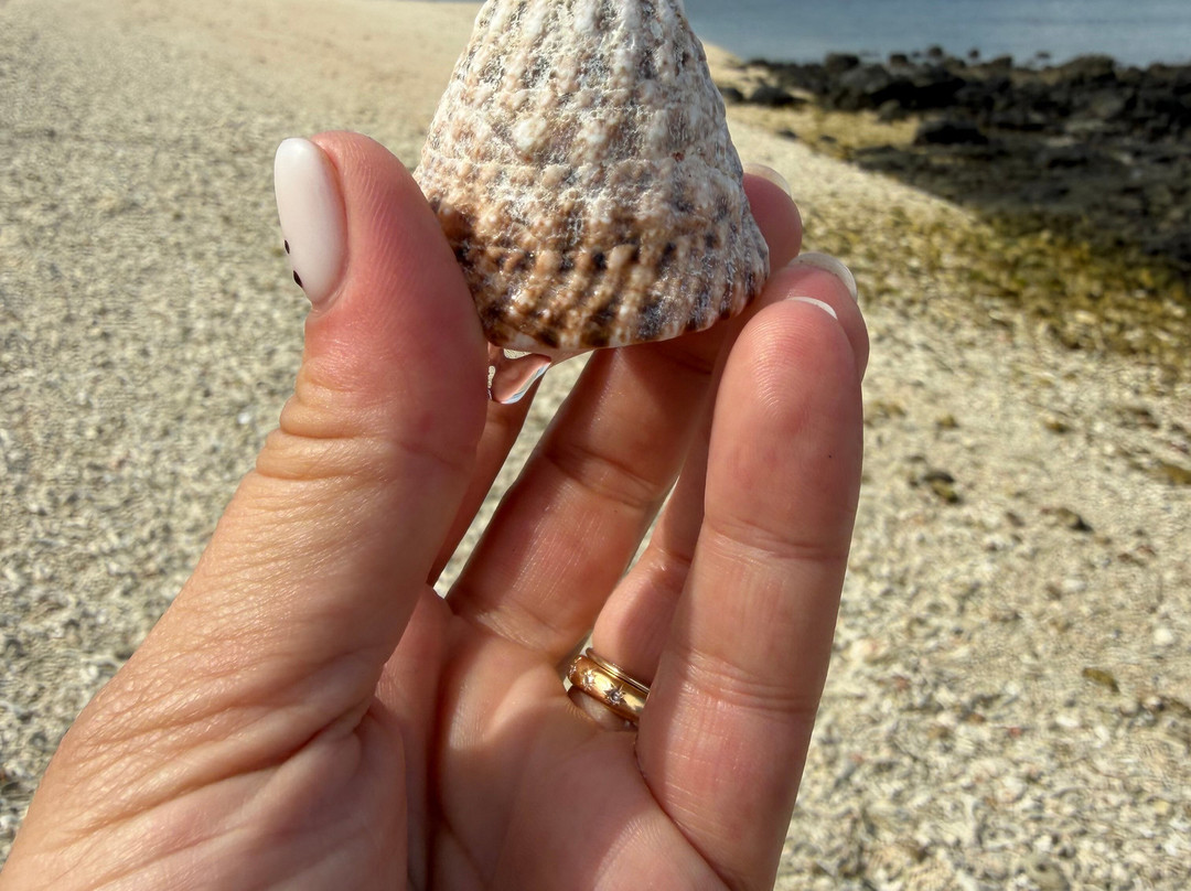 Nosy Be Alberto Tour-诺西贝必去景点