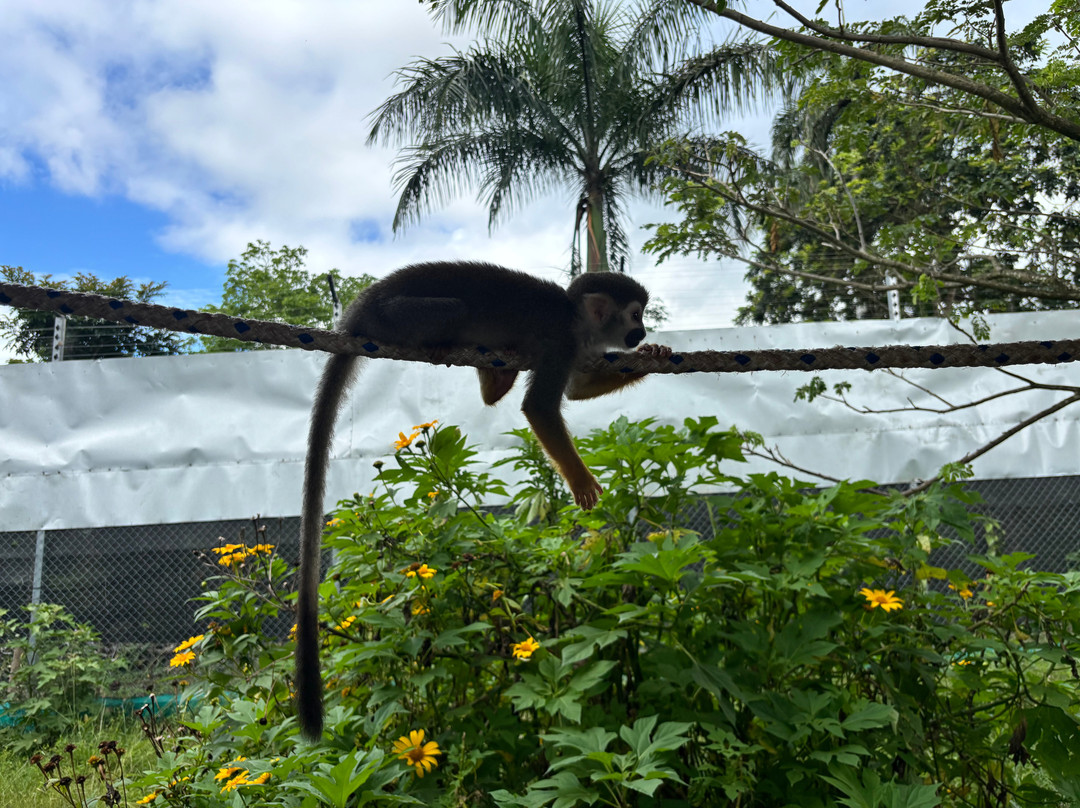 Monkey Home Puerto Plata-普拉塔港必去景点