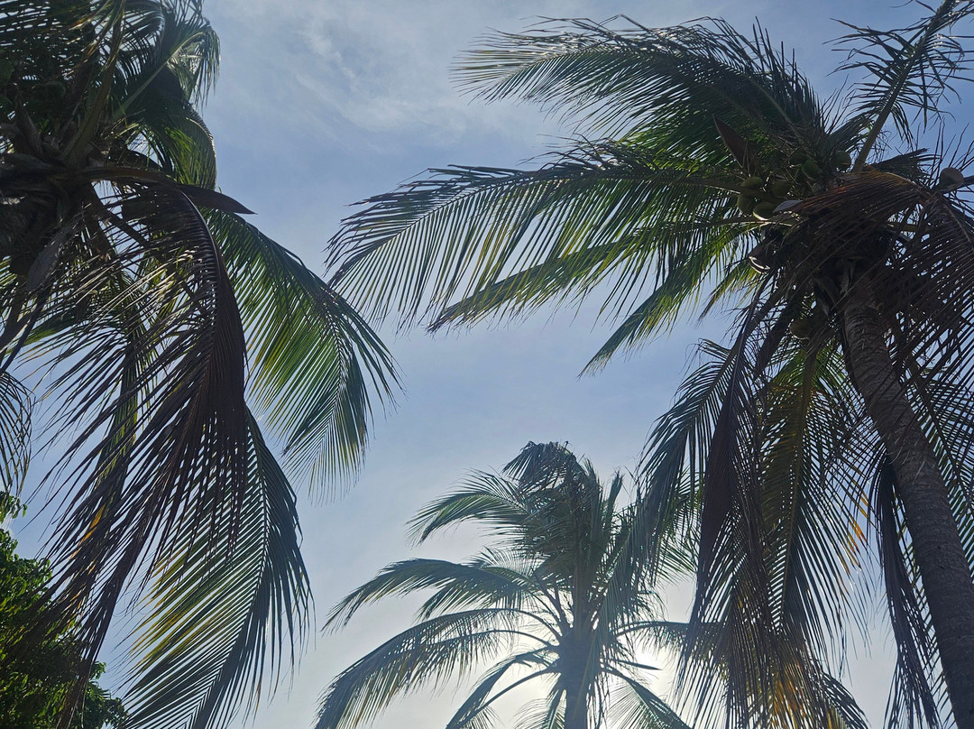 Playa Beach Club Curacao-Sabana Westpunt必去景点