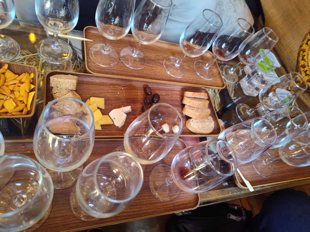 Vinodocia Wine & Art House-乌奇萨必去景点