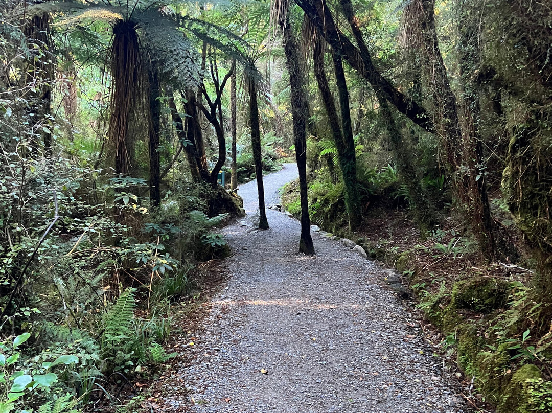 霍基蒂卡峡风景保护区-霍基蒂卡必去景点