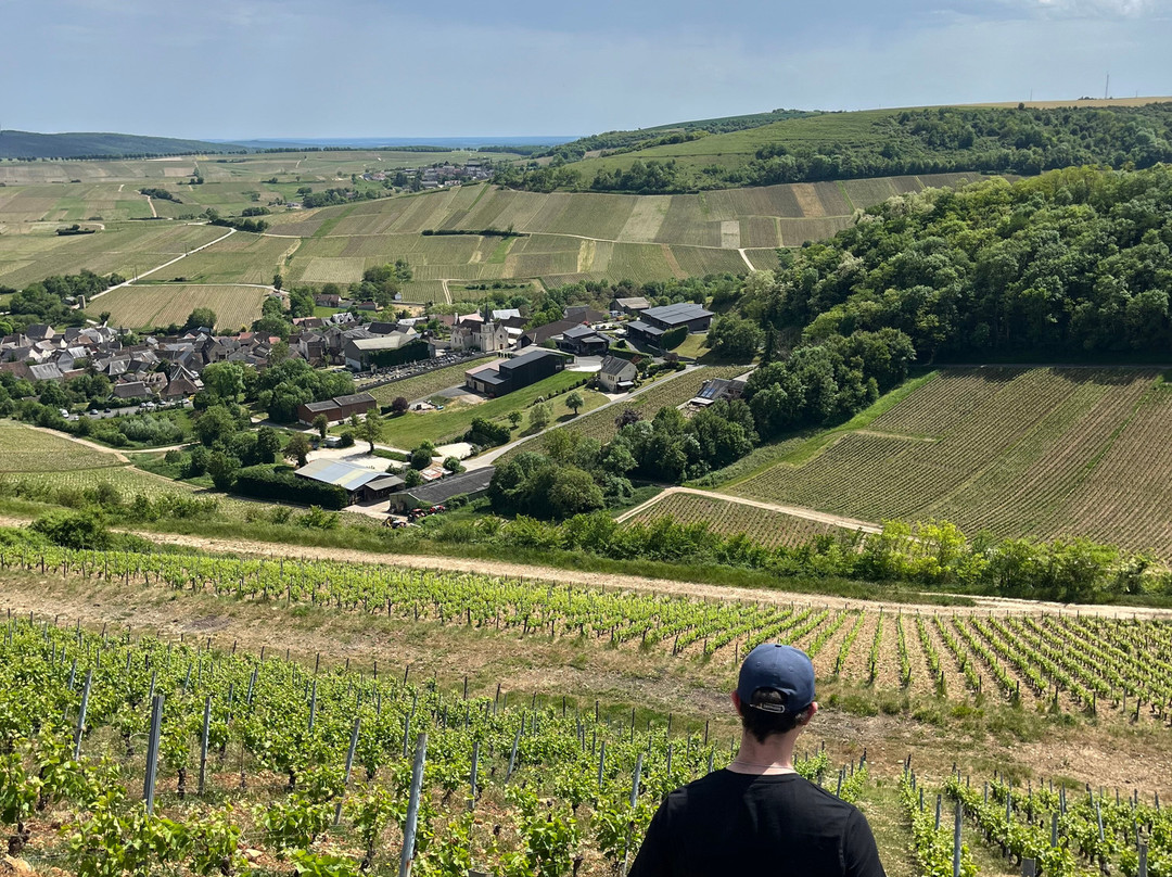 Vinitour Centre-Loire-桑塞尔必去景点