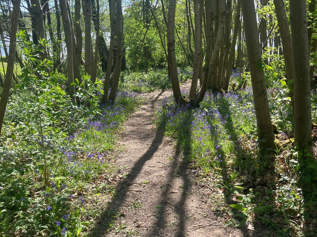 Bewl Water-Lamberhurst必去景点