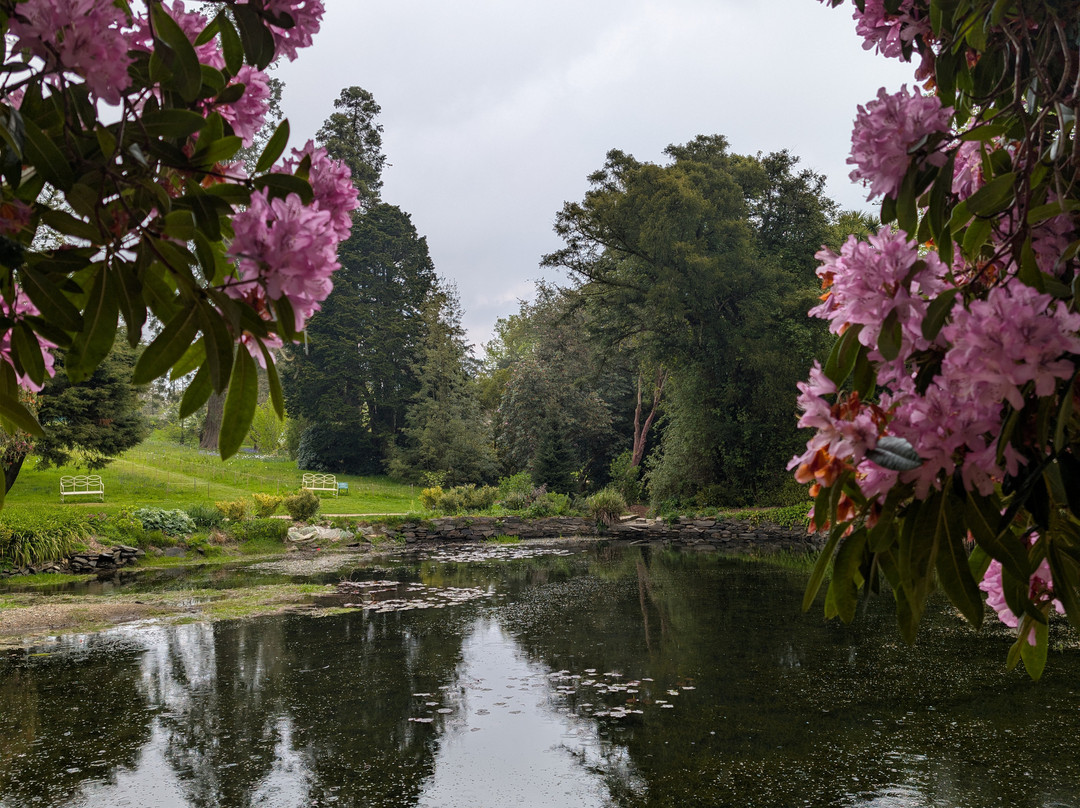 National Botanic Gardens, Kilmacurragh-County Wicklow必去景点