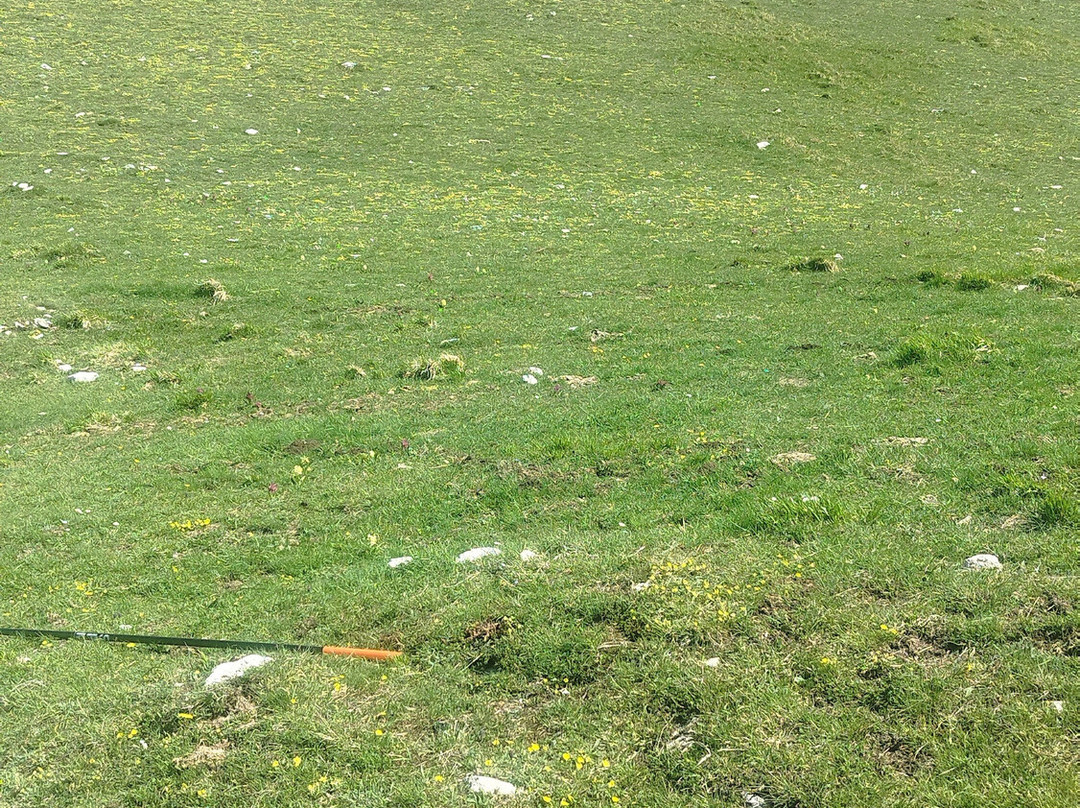 Bolognola Ski-Bolognola必去景点