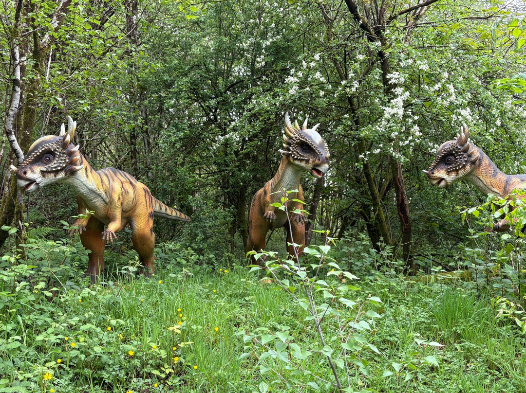 The National Showcaves Centre for Wales-Craig-y-nos必去景点