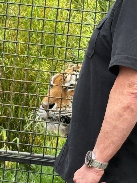 Hertfordshire Zoo-布罗克斯本必去景点