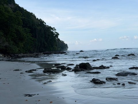 安达曼塔吉艾索地卡度假村及水疗中心-泳池