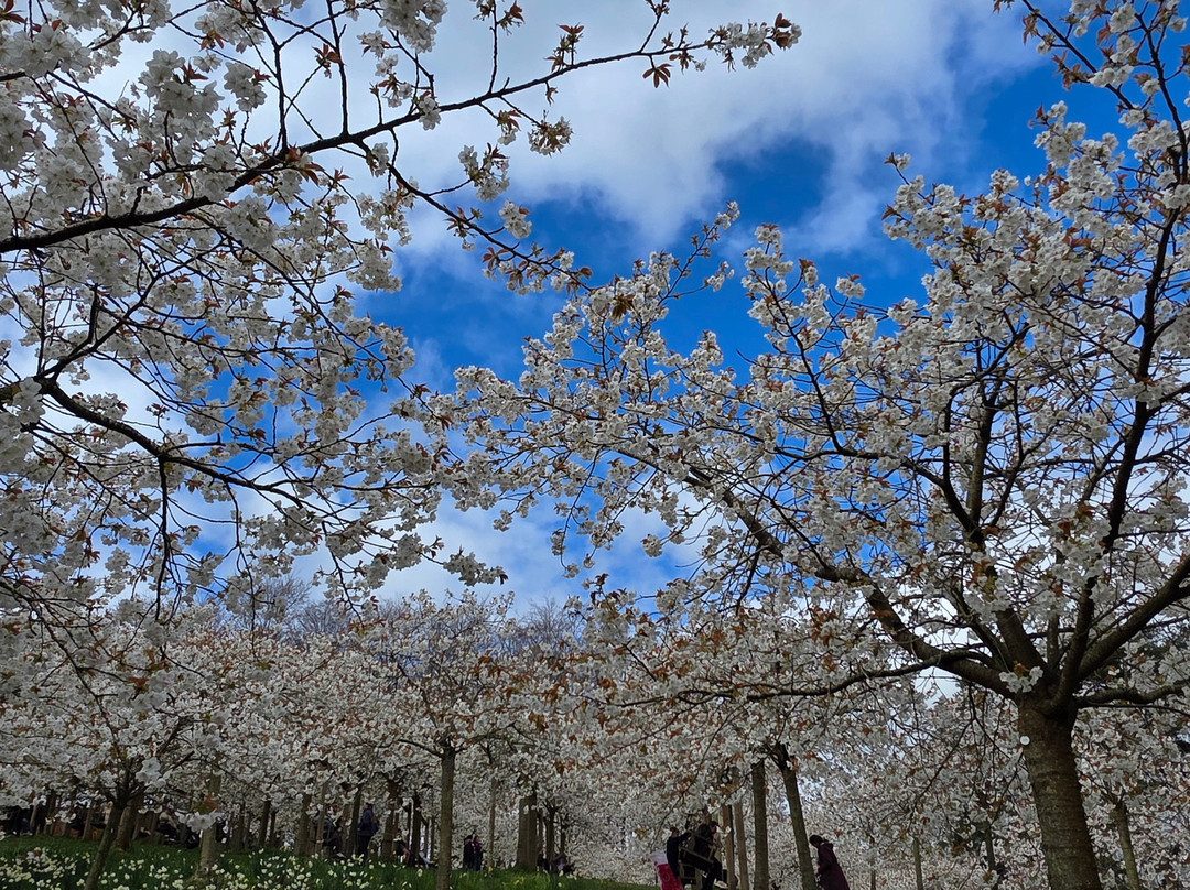 The Alnwick Garden-阿尼克必去景点