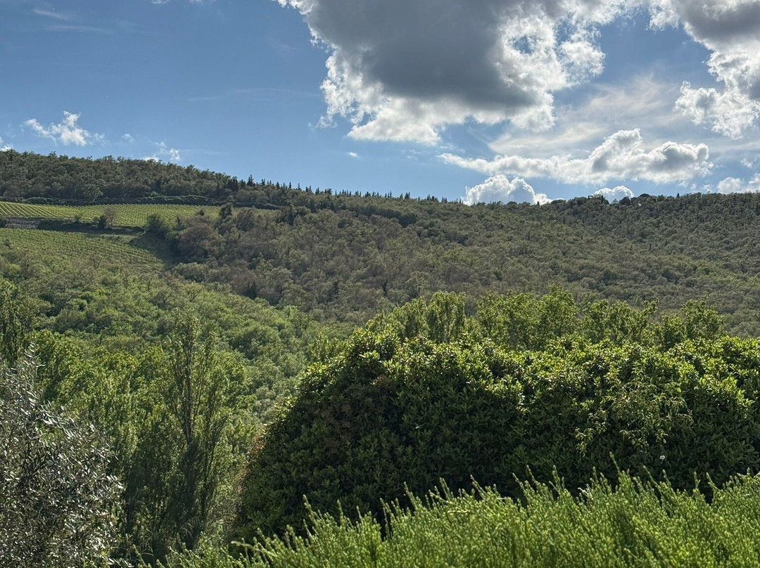 Le Miccine Vineyards And Winery-加约莱因基安蒂必去景点
