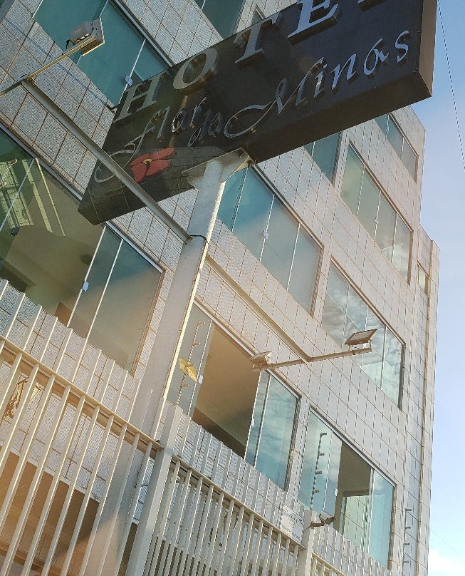 弗罗儿米纳斯酒店主图