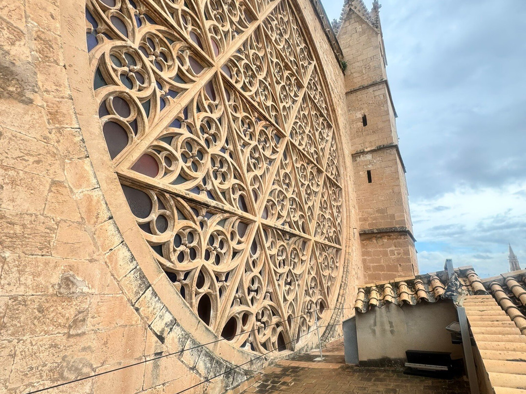 Terrazas de la Catedral de Palma-马洛卡帕尔马必去景点