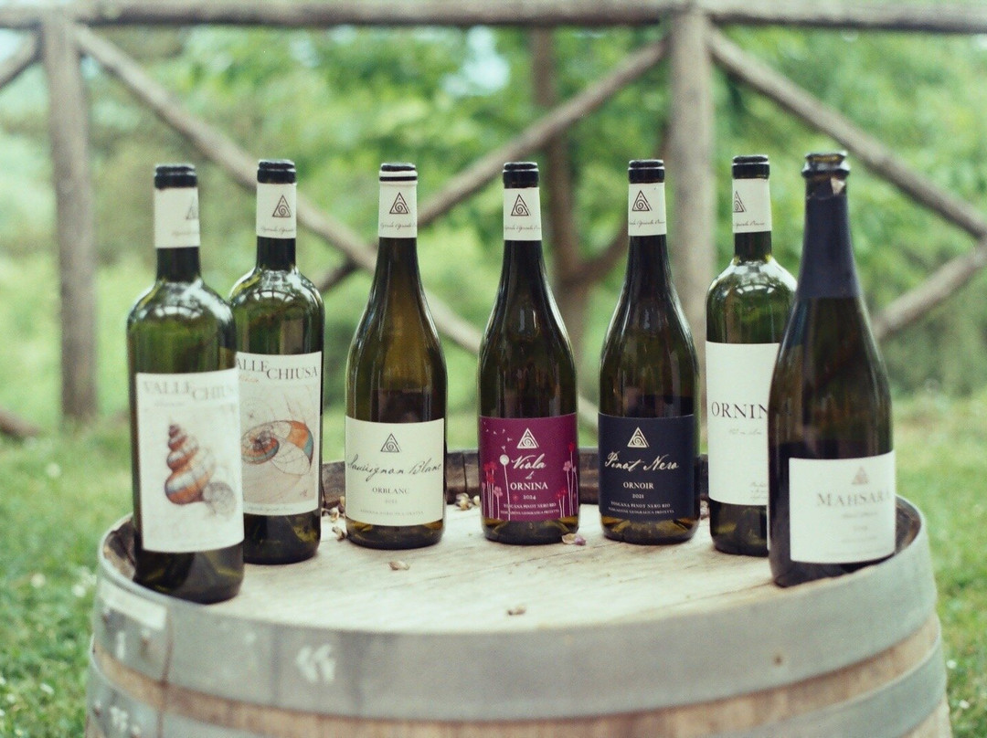 Ornina Winery-Castel Focognano必去景点