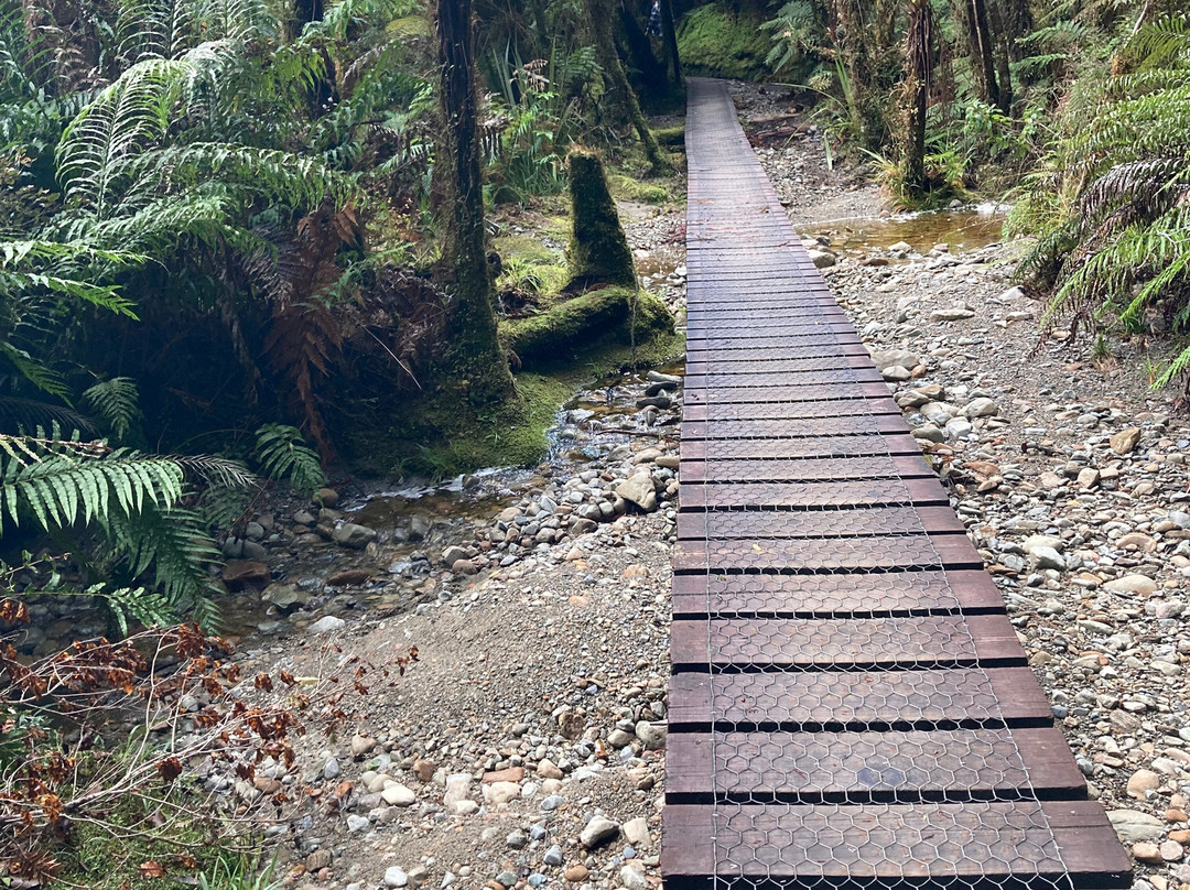 马瑟森湖-福克斯冰川必去景点