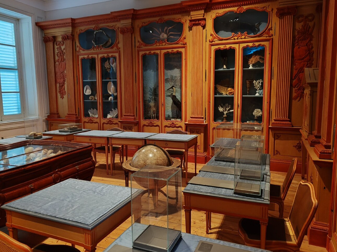 Muséum d'Histoire Naturelle de La Rochelle-拉罗谢尔必去景点