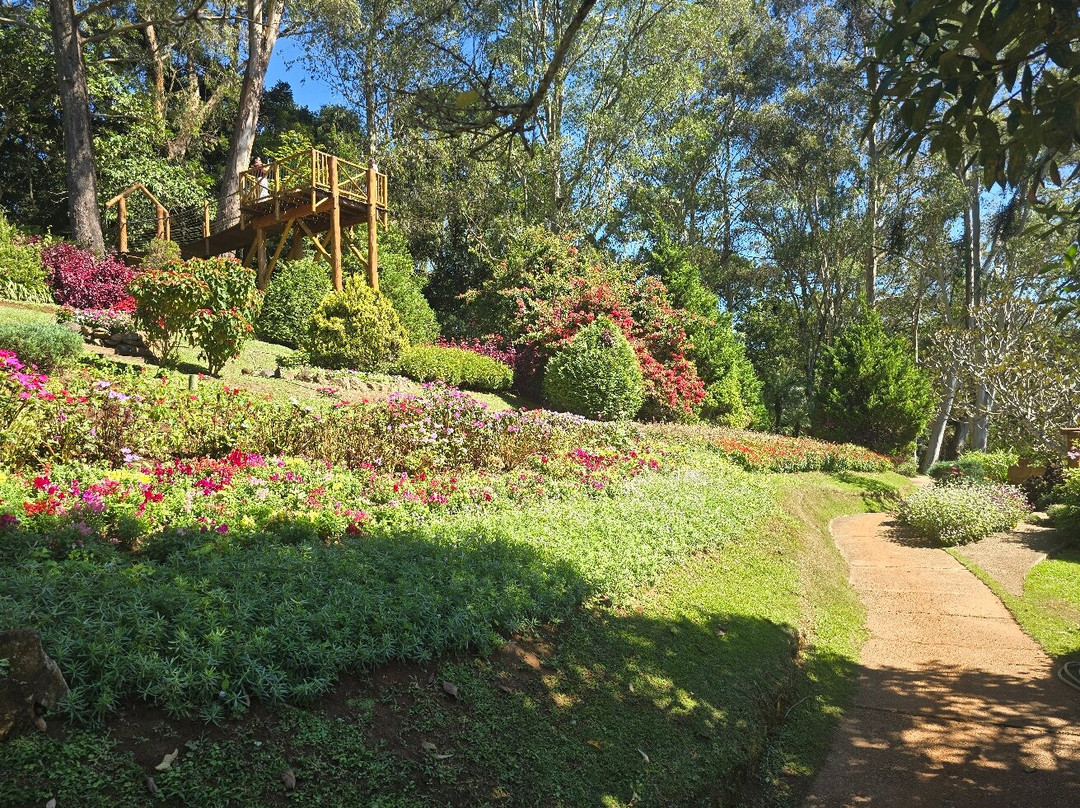 Jardim dos Pinhais Ecco Parque-圣安东尼奥杜皮尼亚尔必去景点