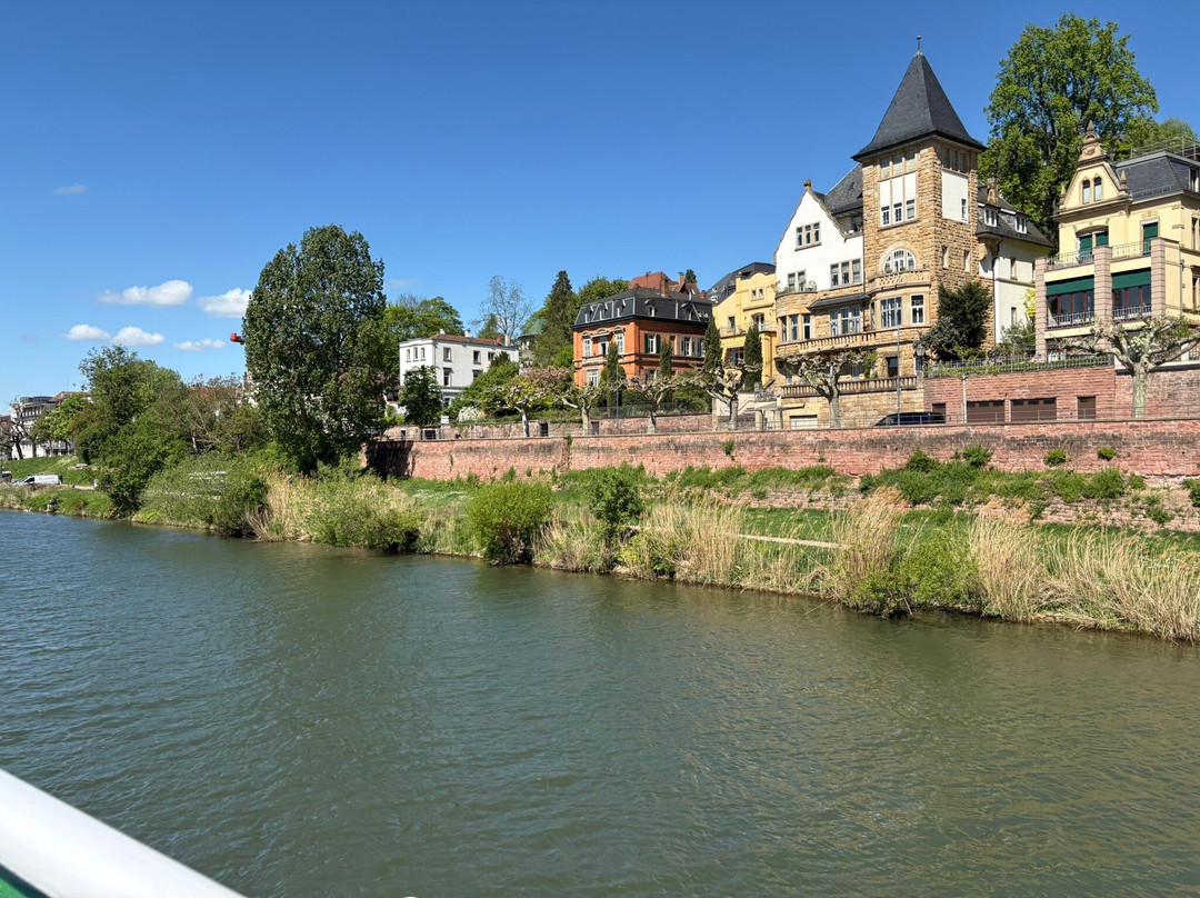 Neckar River-海德尔堡必去景点
