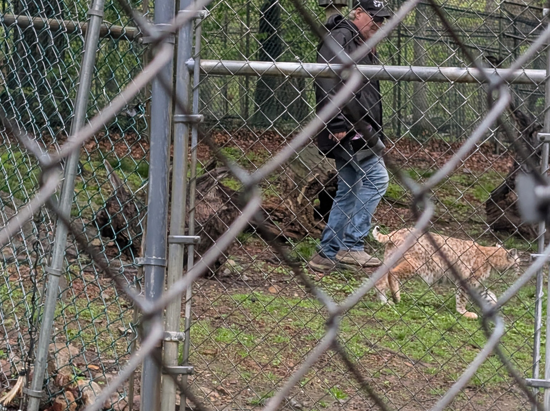 Lakota Wolf Preserve-Columbia必去景点