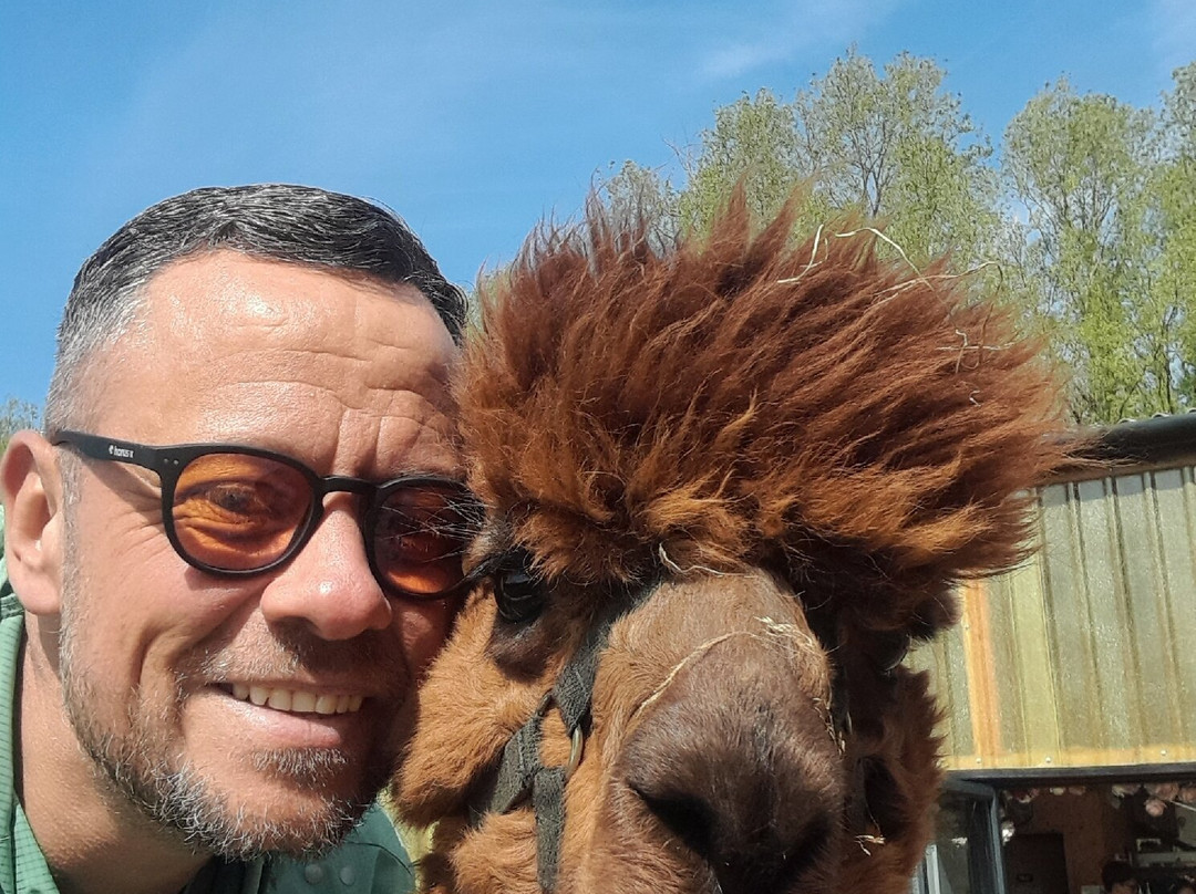 Woodlands Alpaca Farm-沃灵顿必去景点