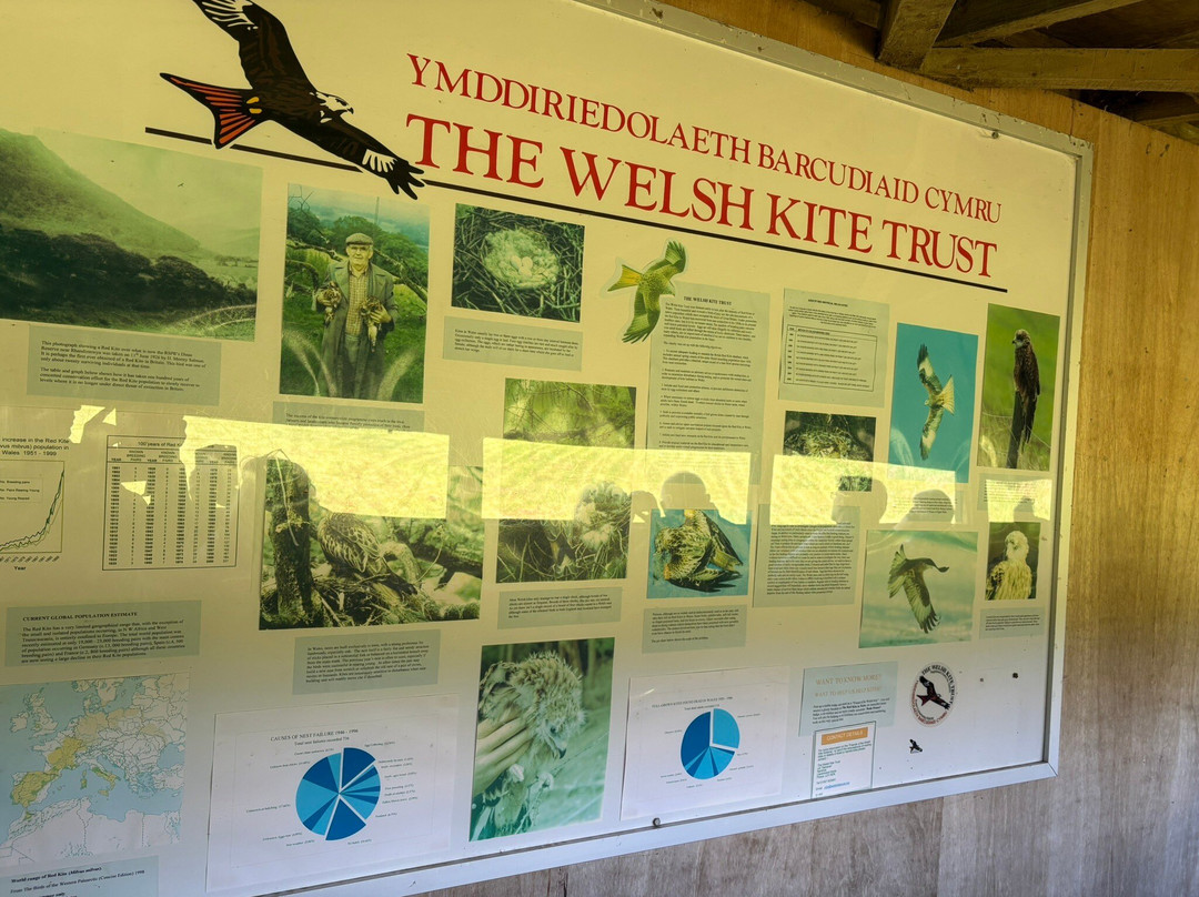 Gigrin Farm Red Kite Feeding Centre-Rhayader必去景点